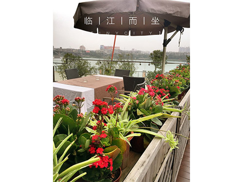 滨江店